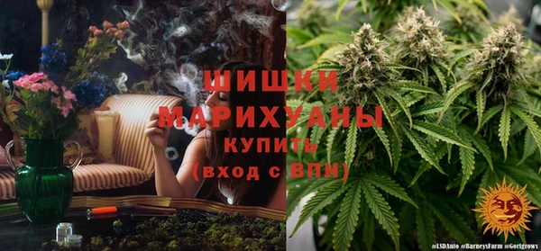 каннабис Каменногорск