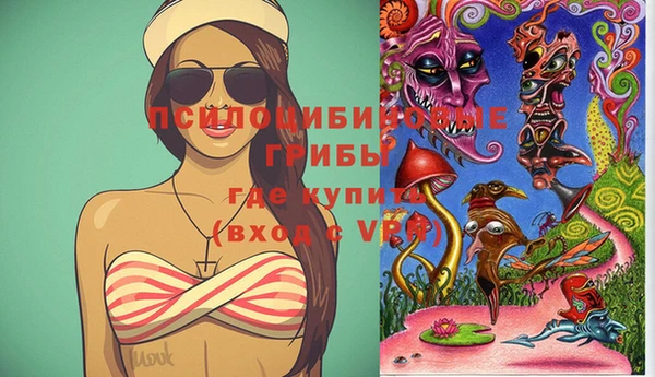каннабис Каменногорск