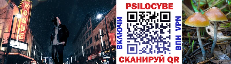Галлюциногенные грибы Psilocybine cubensis  Купить закладки  Дивногорск 